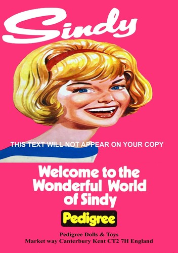 Vintage 1960 style sindy - style,