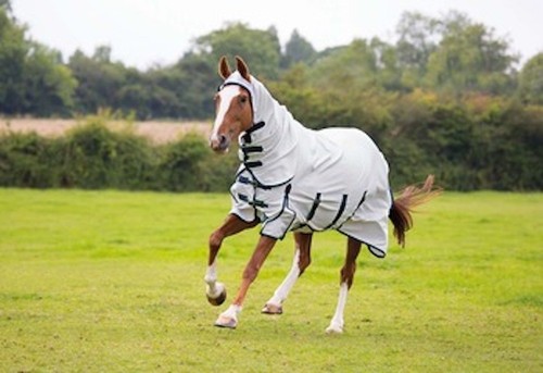 Shires sweet itch combo fly - sweet-itch,