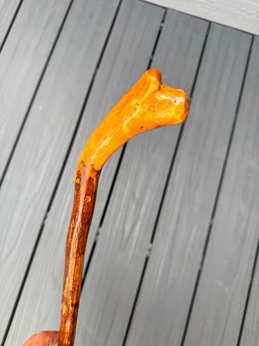 Hazel walking stick - walking, shanks