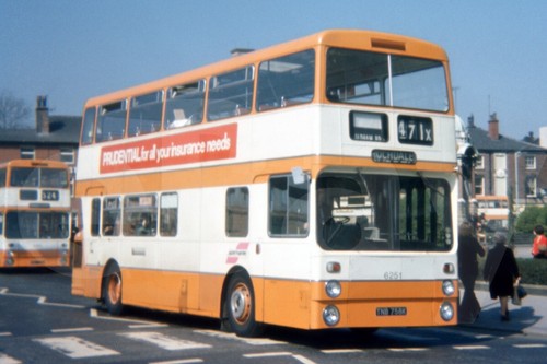 Bus photo selnec northern - photo,