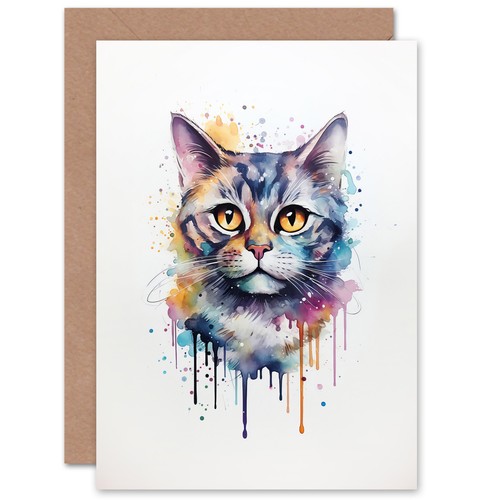 British shorthair cat lovers - cat,