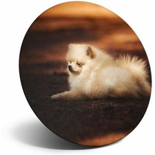 Awesome Fridge Magnet - Cute