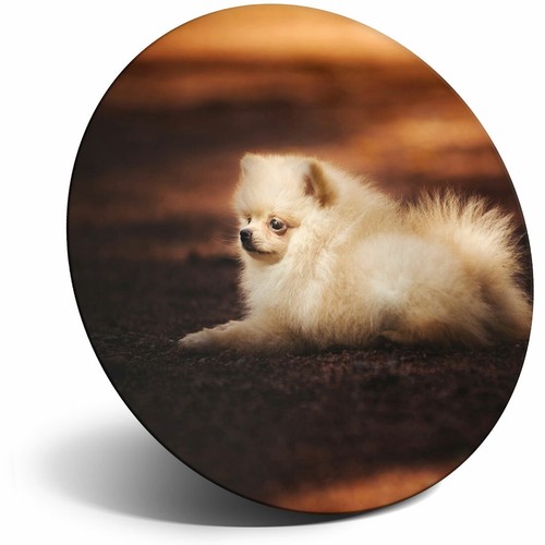 Awesome fridge magnet cute - fridge,