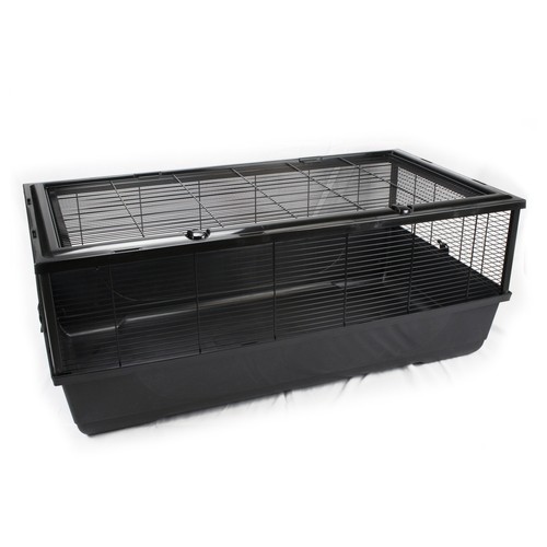 Premium xxl rabbit - rabbit, bernie
