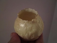 Locke & Co Worcester Shrub