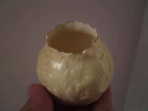 Locke worcester shrub - co,