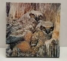 1970s VTG Springbok Masters of