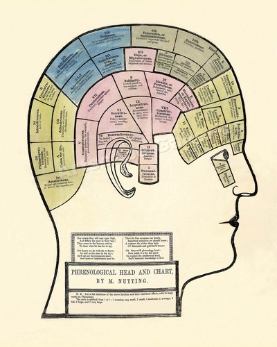 1857 phrenological head - phrenological,