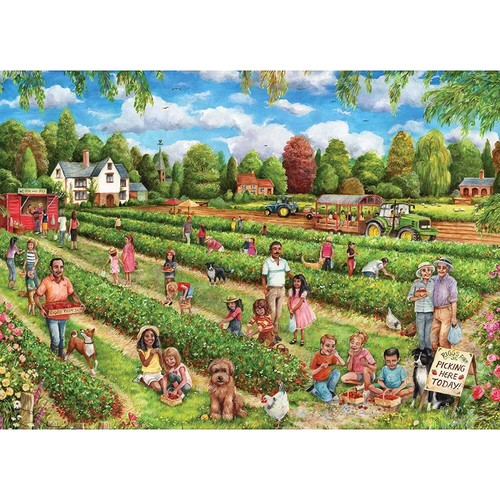 Falcon strawberry picking 1000 - strawberry,