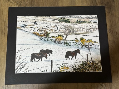 Mark leary landscape art - mark,