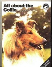 All About the Collie: Rough