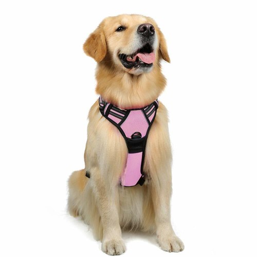 Rabbitgoo pull pet - pet, dog