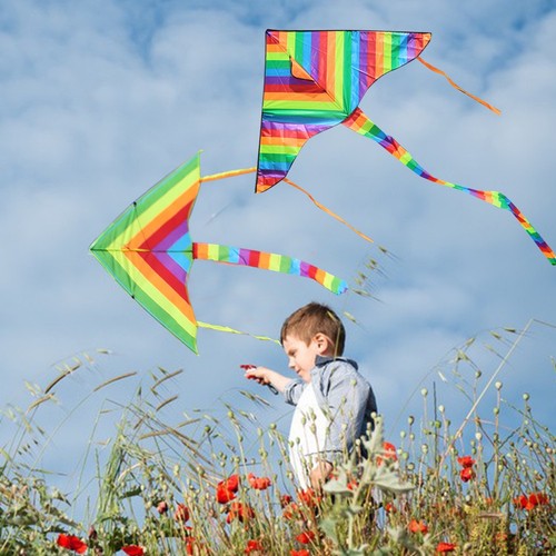Easy fly colorful rainbow kite - easy,