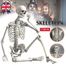 5.6ft Poseable Full Life Size Human Skeleton Prop Halloween Party Decoration UK