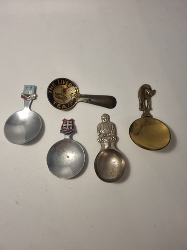 Tea caddy spoon choose - tea, (choose