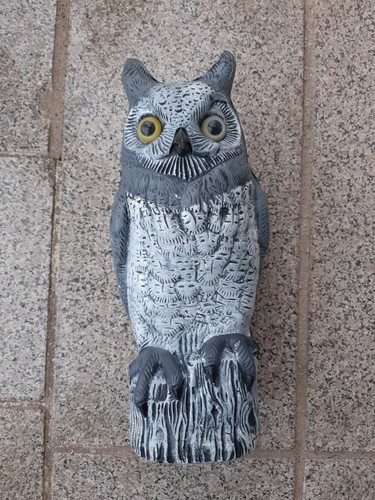Owl plastic bird - owl,