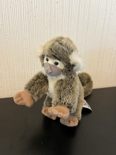Nature planet baby - baby, squirrel