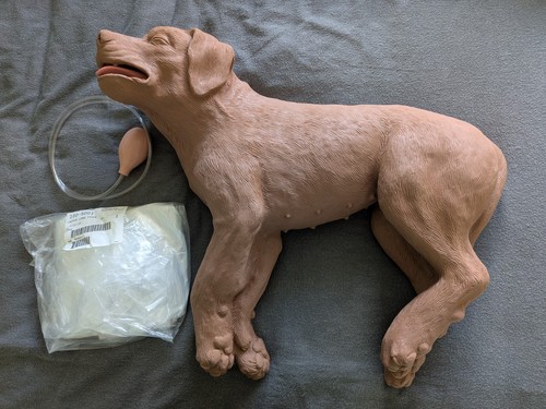 Casper cpr training manikin - cpr,