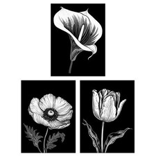 Elegant Single Tulip Anemone Calla Lily Flowers Black White A4 Poster 3 Pack