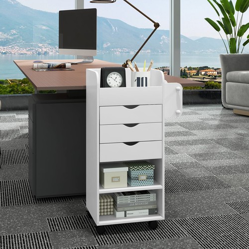 Shelf rolling cabinet - shelf, 3