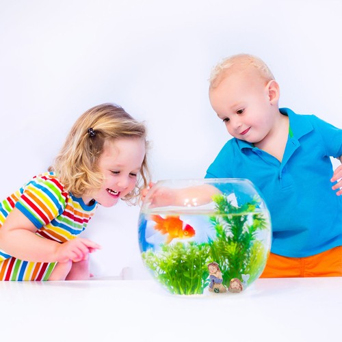 Aquarium landscaping resin - landscaping,