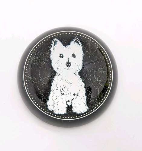 West highland white - white, terrier