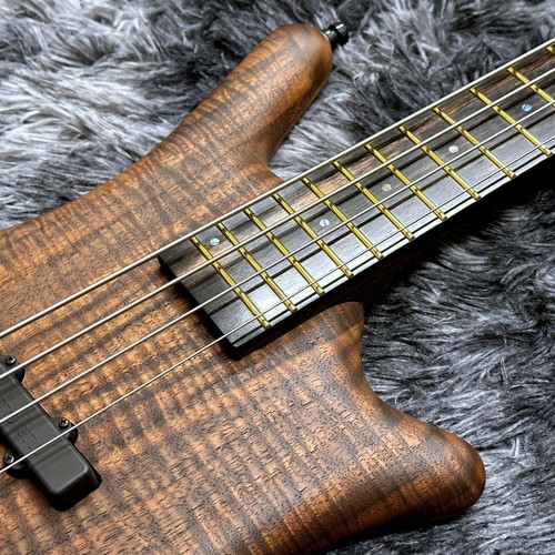 Warwick pro series teambuilt - warwick,