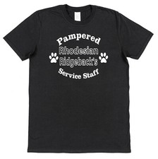 Staff Pampered Rhodesian