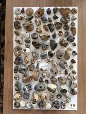 100 natural hag stones wica - natural,