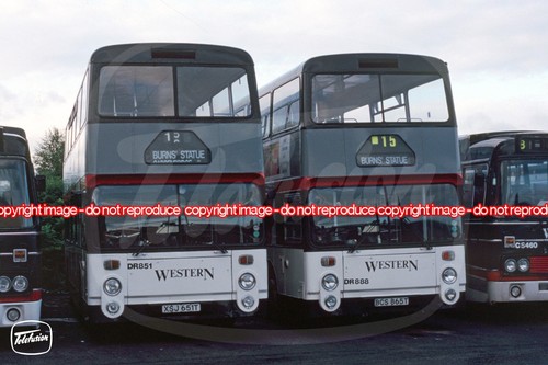 Bus photo western - bus,