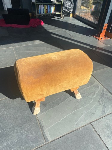Vintage pommel horse - horse, 1950s