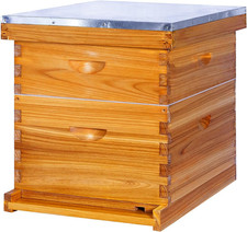 10-Frame Beehives Starter Kit