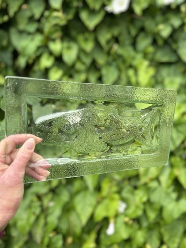Glass fish tray dish - fish, serving
