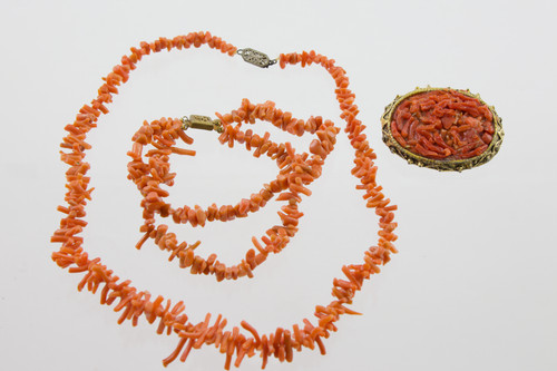 Vintage branch coral - branch,