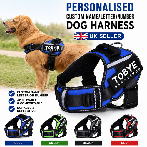 Personalized dog harness - dog, no