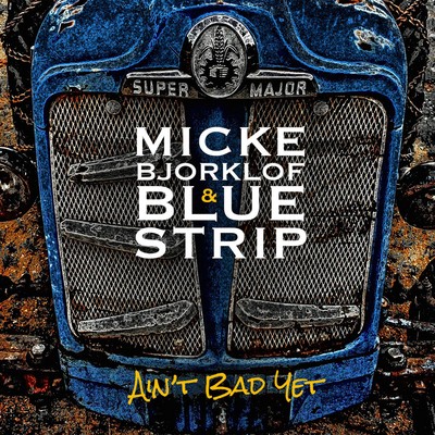 Micke bjorklof blue strip - &,