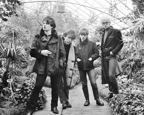Photograph no 5 - u2, 10"