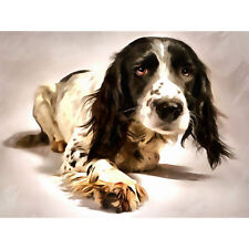 Springer Spaniel Cute Dog Large Canvas Wall Art Print