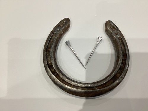 100 real horseshoes nail - 1-100,