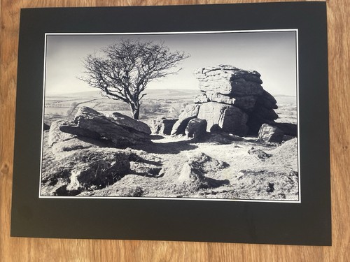 Large fine art black white - art,