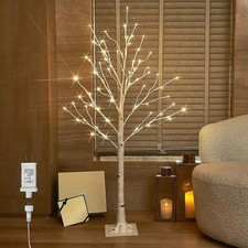 Hairui White Birch Twig Tree