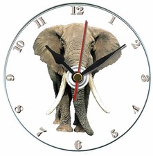 Elephant gift, African safari