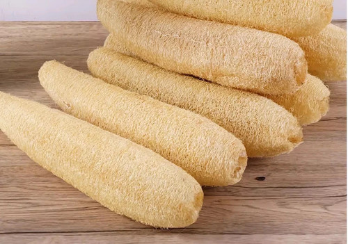 Natural tunisian loofah sponge - tunisian,