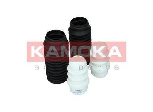 Genuine kamoka dust - dust, kit