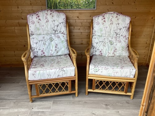 Two cane conservatory chairs - cane,