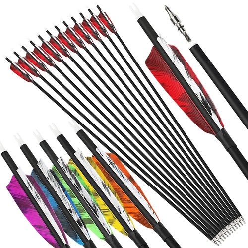 Carbon arrows 4 - 31", 4"
