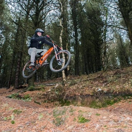 Downhill mountain bike