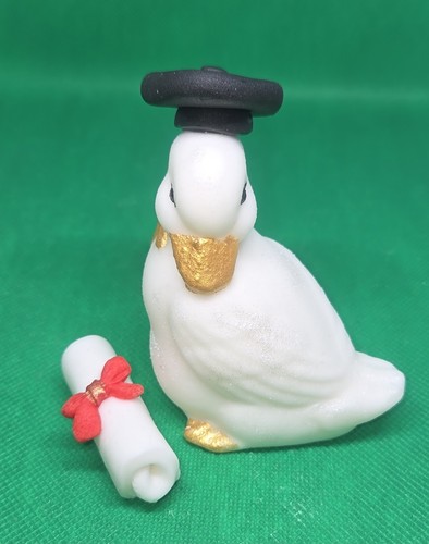 Edible duck graduation - edible, duck,graduation