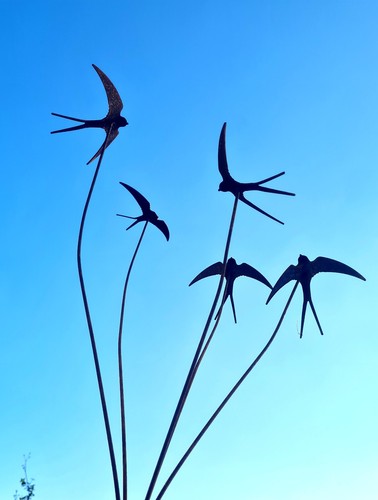 Five swallows metal garden - swallows,