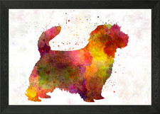 Norfolk Terrier dog Framed